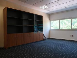 Rent Office space in Urnieta. Oficinas en edificio de oficinas en igarategi industrialdea junt
