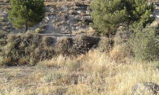 Terreny residencial a Guimerà. Solar en venta en guimerà