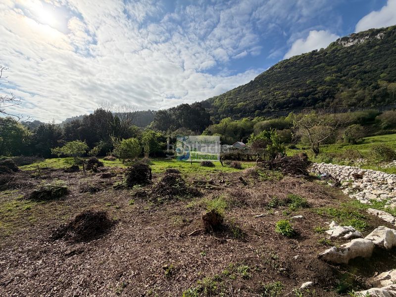 Foto a5f8c877-d557-4ba7-9b9f-c22544d19a82. Finca rústica a n/a 65a a Oriñón- Allendelagua Castro - Urdiales