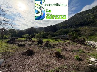 Finca rústica  N/a. Terreno rural cerdigo