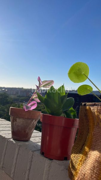 Foto d01fcd58-e4dd-4c78-b587-9554f73e09cc. Lloguer pis amb calefacció a Los Castros Santander