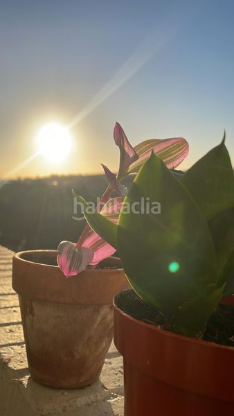 Foto d552df45-5388-4c2e-8edd-308deaf960cc. Lloguer pis amb calefacció a Los Castros Santander