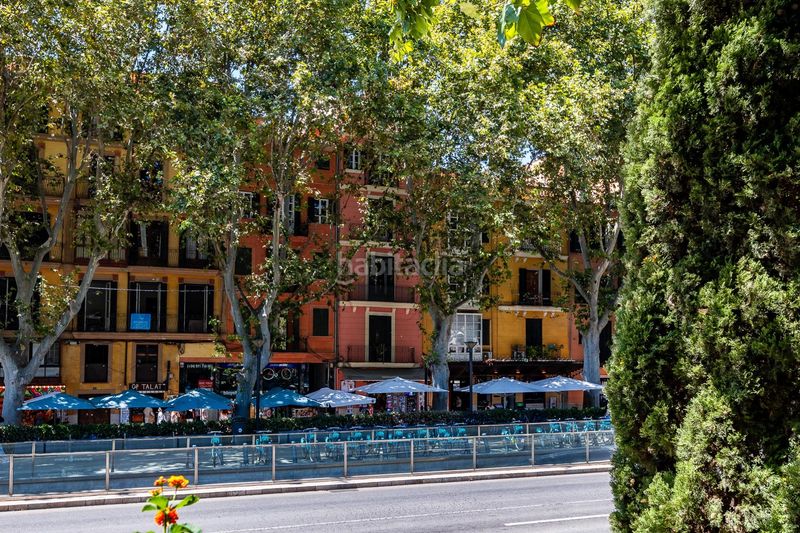 Foto f0b1b126-49ba-4609-a0f7-769f21088fa4. Pis amb calefacció a La Llotja-Born Palma de Mallorca
