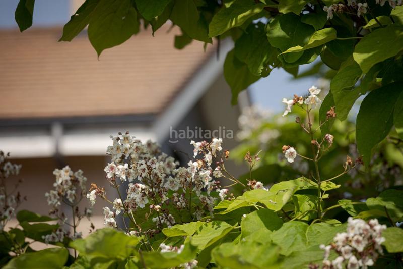 Foto 05f311bb-e0df-4fce-81d3-1e7799c06b8b. Semi detached house with heating parking pool in Iza