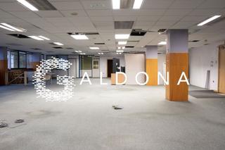 Lloguer Oficina a Lasarte - Oria. Amplias oficinas en muy buen estado en rekalde