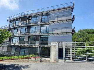 Alquiler Oficina  Donostia-san sebasti?n - de pokopandegi bidea. Tranquila y luminosa oficina en venta impecable con garajes en i