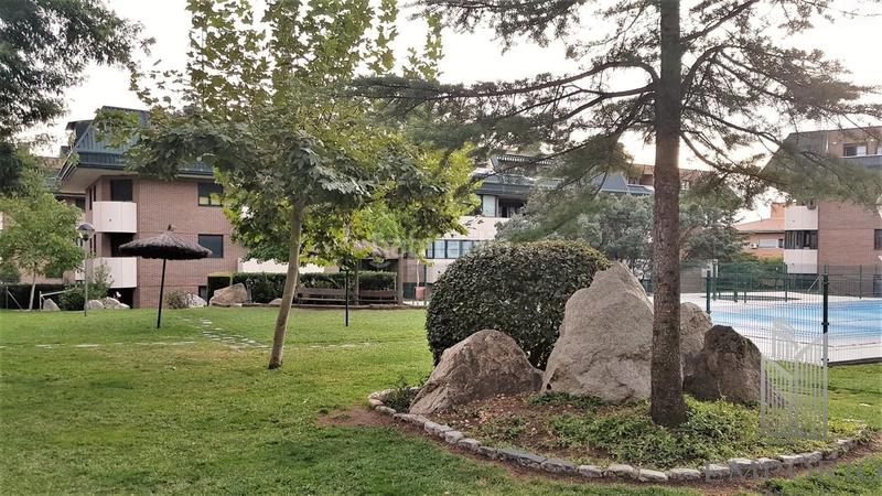 Foto 7ab14c45-b137-42c8-821c-54dbe4bda723. Alquiler ático en río navia 4 ático con 2 terrazas urb. con amplio jardín y piscina en Collado Villalba