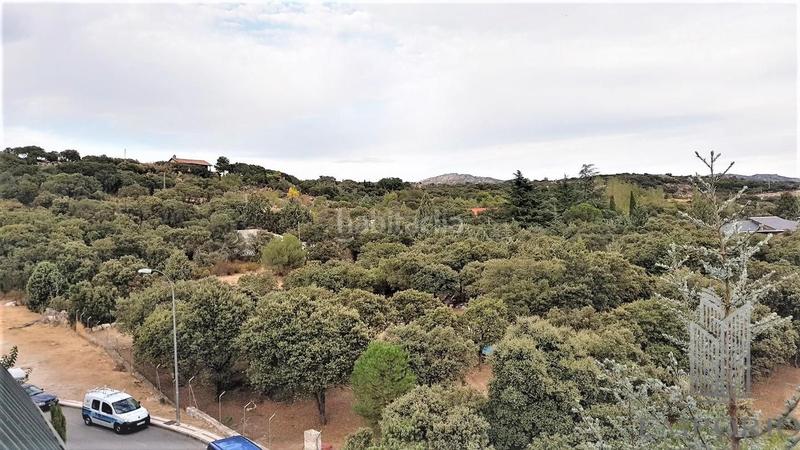 Foto d22b781c-cb03-4afc-9663-0e1450cbe1d2. Alquiler ático en río navia 4 ático con 2 terrazas urb. con amplio jardín y piscina en Collado Villalba