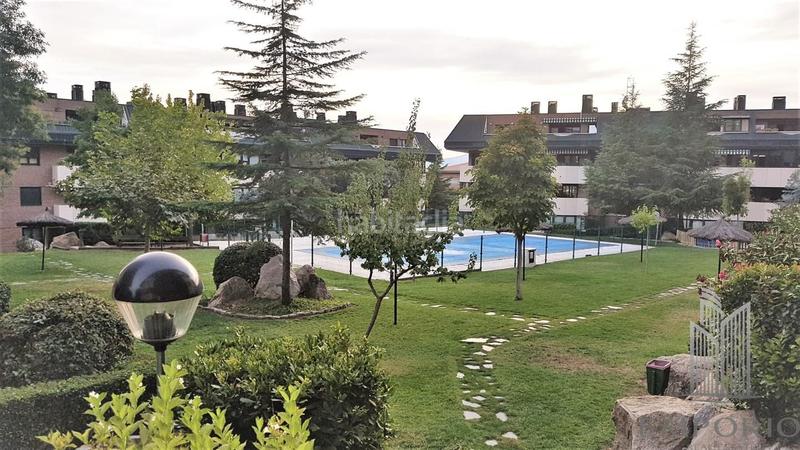 Foto eaf29ea8-d7cb-4e46-8f23-0a085076768d. Alquiler ático en río navia 4 ático con 2 terrazas urb. con amplio jardín y piscina en Collado Villalba