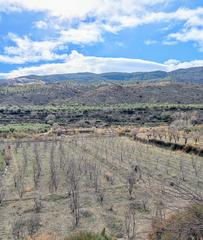 Finca rústica a Camino huertas 13. Magnífico terreno en abla.