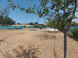 Finca rústica a Calle jaén 29. Terreno en venta en puente tablas