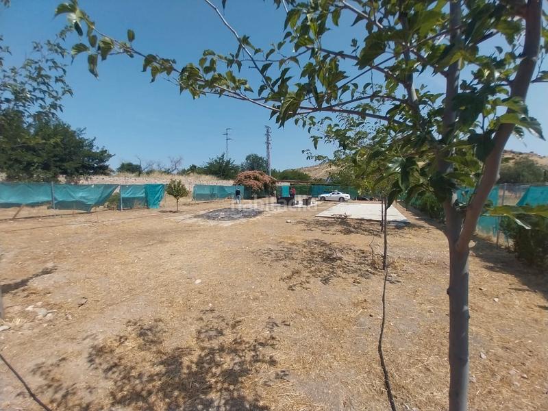 Foto ef2443e9-a778-4a33-a5c8-5ad0d3fd8eab. Finca rústica en calle Jaén 29 terreno en venta en puente tablas en Jaén