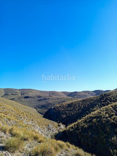 Foto d7787b1c-bbe8-43bd-8e4b-cae2840bf35b. Alquiler finca rústica en n/a magnífica finca en Olula de Castro