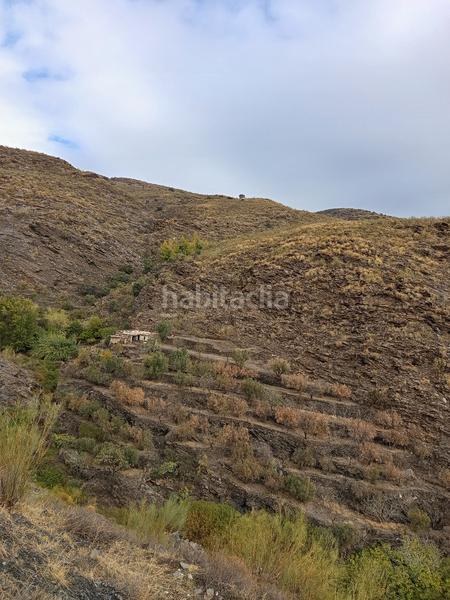 Foto 4daa4248-e053-47a6-bf56-c470545f1710. Alquiler finca rústica en n/a finca en rambla de tices en Canjáyar