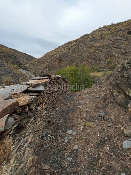 Foto 6382a489-09fd-4b48-887c-b6d990161a75. Alquiler finca rústica en n/a finca en rambla de tices en Canjáyar