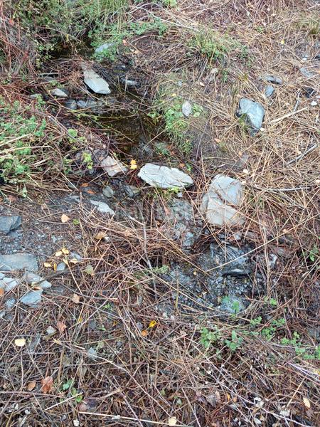 Foto 6f39621b-f799-4773-822d-90fa0c4192fe. Alquiler finca rústica en n/a finca en rambla de tices en Canjáyar