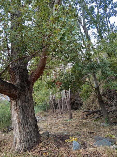 Foto 9152bcb9-0176-437e-8f80-35f1026bd9f3. Alquiler finca rústica en n/a finca en rambla de tices en Canjáyar