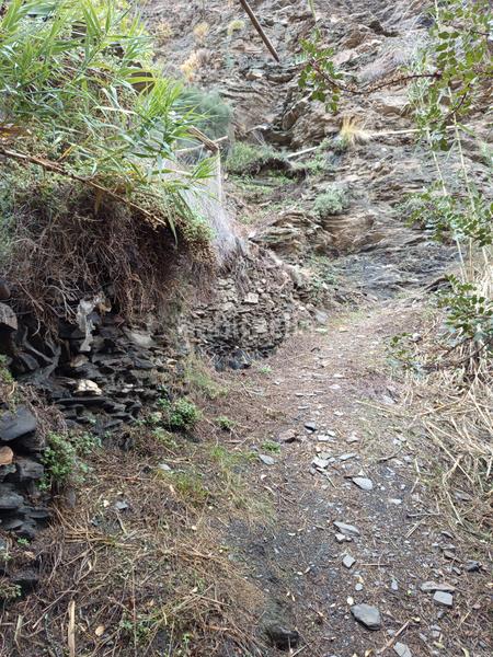 Foto 9f46c783-3c1f-40d5-ba9c-5a65d5f22a37. Alquiler finca rústica en n/a finca en rambla de tices en Canjáyar