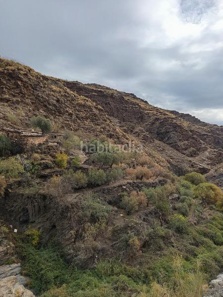 Foto ac06b545-cc6c-4526-b31c-f67561ae102c. Alquiler finca rústica en n/a finca en rambla de tices en Canjáyar