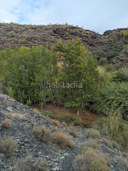 Foto befdfbb6-307c-4ab9-aabf-6d682dfe1f23. Alquiler finca rústica en n/a finca en rambla de tices en Canjáyar