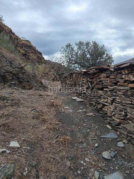 Foto c5a08576-30ab-4ba6-858e-eea5e527c4df. Alquiler finca rústica en n/a finca en rambla de tices en Canjáyar