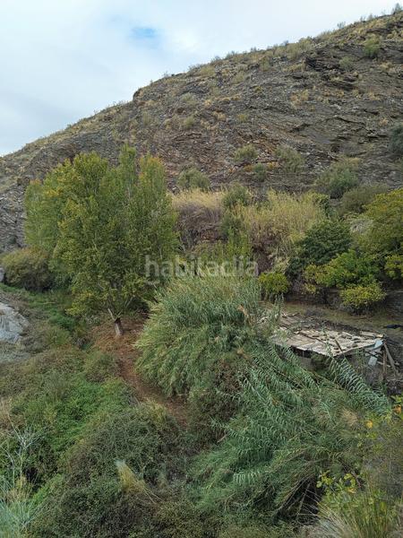 Foto f49ef6a7-bf48-4a6d-846c-be6198111328. Alquiler finca rústica en n/a finca en rambla de tices en Canjáyar