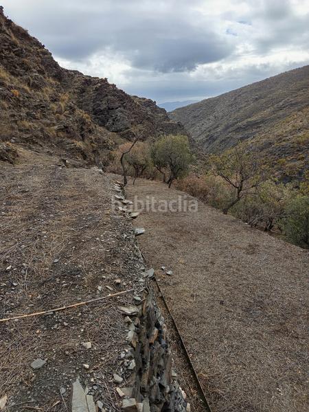 Foto 0532a237-4e2b-4fff-aede-acd534f9a253. Lloguer finca rústica a n/a a Canjáyar