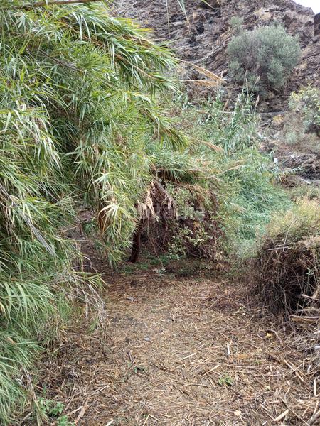 Foto 8b10c107-f910-4057-892d-5a4f343f0396. Lloguer finca rústica a n/a a Canjáyar