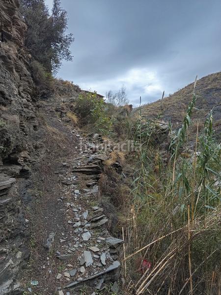 Foto eb7b6fa4-be97-4614-9258-23d380399ecc. Lloguer finca rústica a n/a a Canjáyar