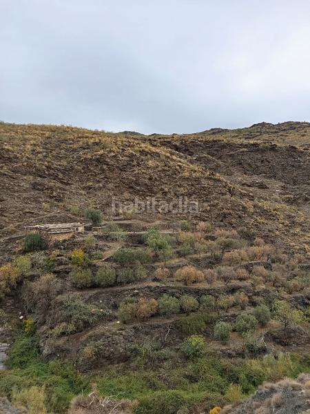 Foto 61147d5a-f821-49ad-ac02-cef39421af53. Miete landgut in n/a in Canjáyar