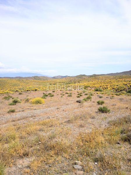 Foto 6def26c7-5985-4c98-959e-8c5bbaee155f. Finca rústica a n/a a Alboloduy