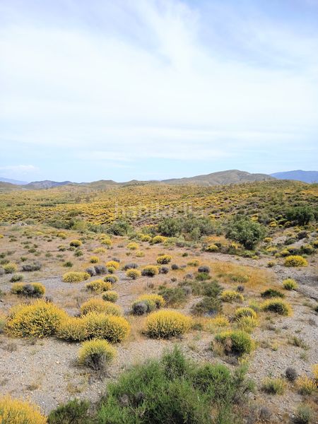 Foto a93e9c9a-9ff3-4580-b6e3-4b9fc570f5c0. Finca rústica a n/a a Alboloduy