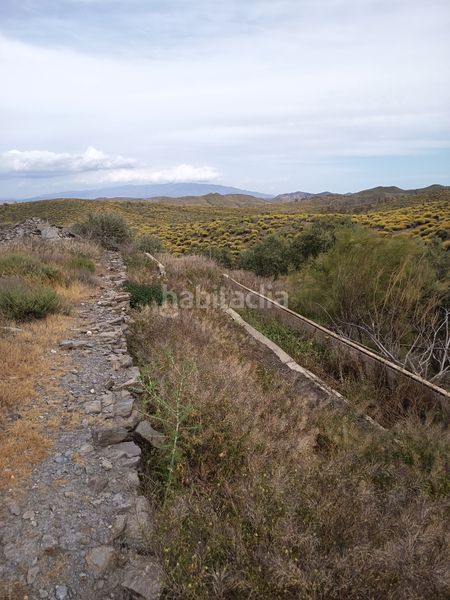 Foto b21d576a-99f3-4ab3-861a-3e2f67db01f0. Finca rústica a n/a a Alboloduy