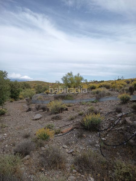 Foto da0108ad-411c-4bcd-a82d-37c099437b00. Finca rústica a n/a a Alboloduy