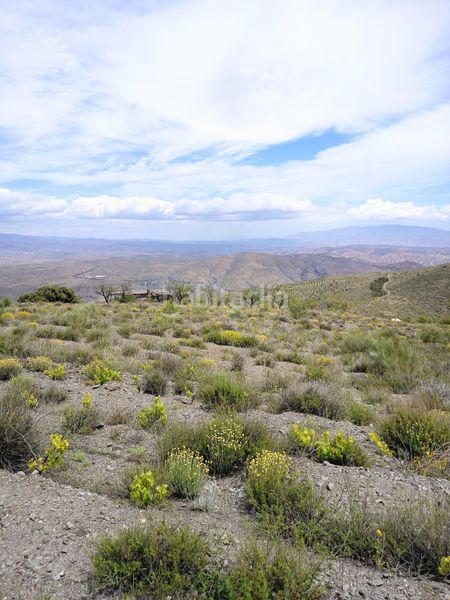 Foto ad8d804b-4261-49d7-8947-7d61c1ba7623. Finca rústica a n/a a Alboloduy