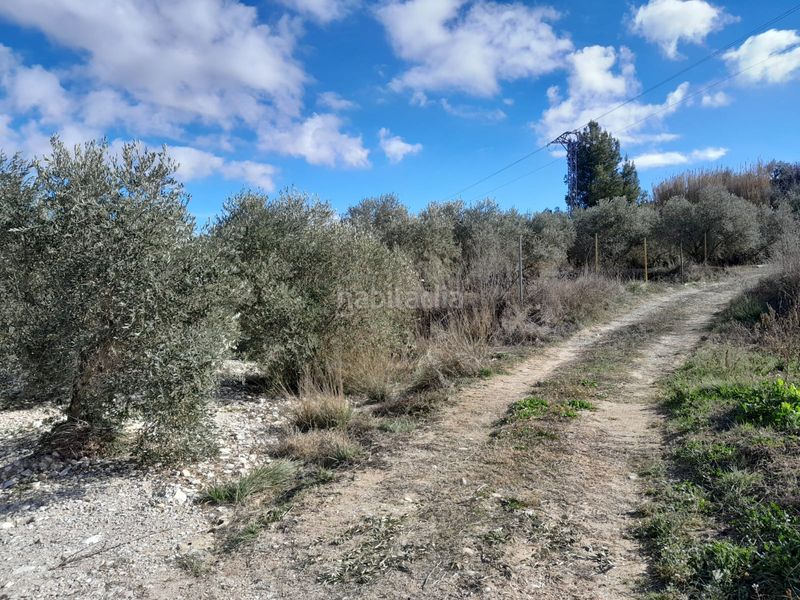 Foto 38d702e9-4fcc-4048-a241-257c16a3b24f. Finca rústica en carretera del escobar km 2 terreno en cehegin en Cehegín