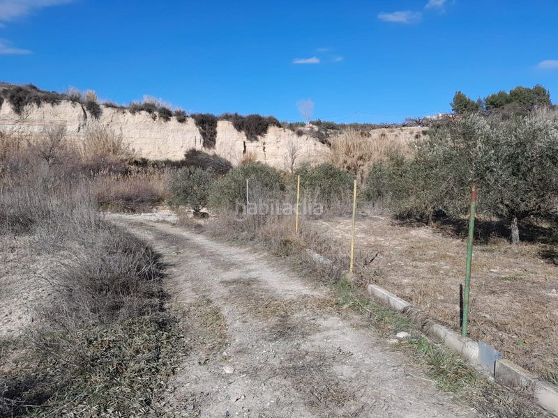 Foto acac24c2-b558-458f-a0f2-0ce9fc57c400. Finca rústica en carretera del escobar km 2 terreno en cehegin en Cehegín