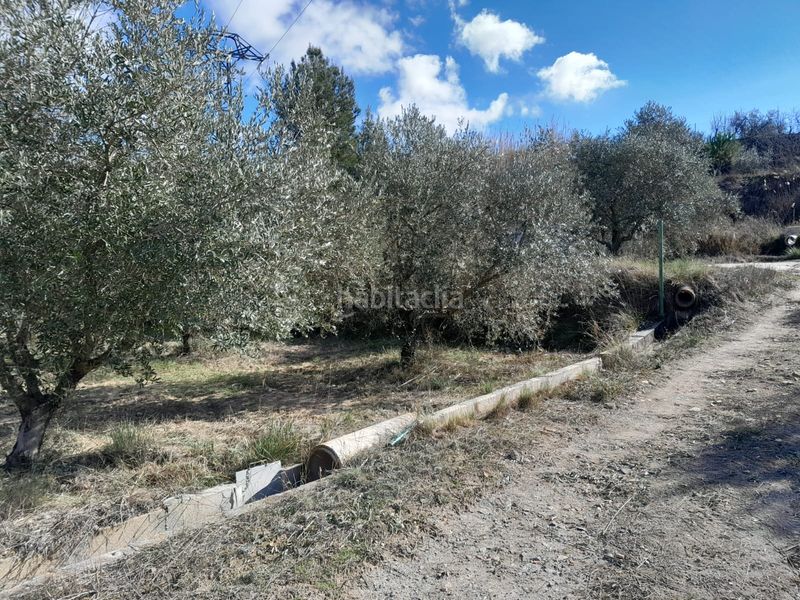 Foto c8b2a3b7-2f39-4db7-9b38-fa2b43ca0e5b. Finca rústica en carretera del escobar km 2 terreno en cehegin en Cehegín