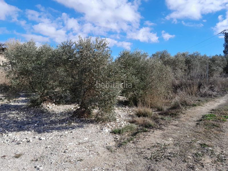 Foto def0b3b6-6eaa-432d-9150-6c95db9926a4. Finca rústica en carretera del escobar km 2 terreno en cehegin en Cehegín