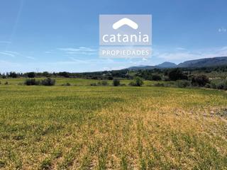 Rural plot  1, parcela 1 y 2. En venta finca rústica de 7 hectáreas
