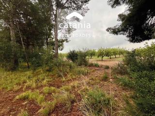 Rural plot in Poble. Venta de finca rústica en montroig del camp