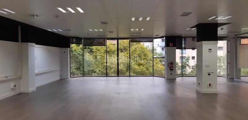 Foto 5c37cd76-c40e-4623-8c4d-e4360165545f. Alquiler oficina luminosa en Sants Barcelona