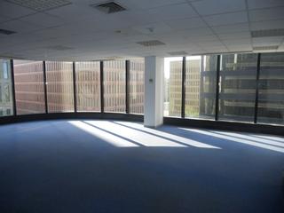Location Bureau dans Carrer de juan gris 2. Torre cerd