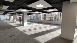 Lloguer Oficina  Carrer del gall. Espectacular oficina