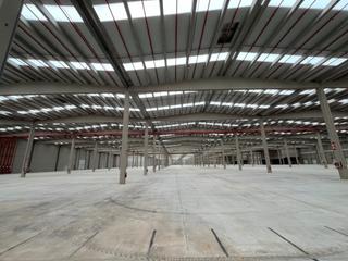 Lloguer Nau industrial  Carrer falcó. Logística con muelles de carga