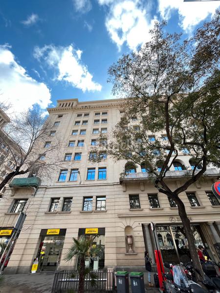 Foto 25b2fbee-a3ed-43b1-b491-7b7e32710f5e. Alquiler oficina en Gòtic Barcelona