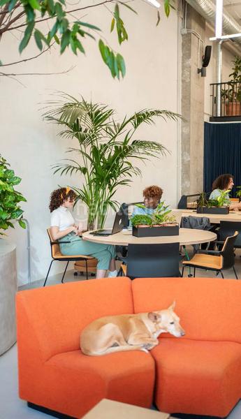 Foto 7a63e0b8-7ad8-4e55-a61a-ed8841e949f6. Location bureau avec chauffage dans El Parc i la Llacuna del Poblenou Barcelona