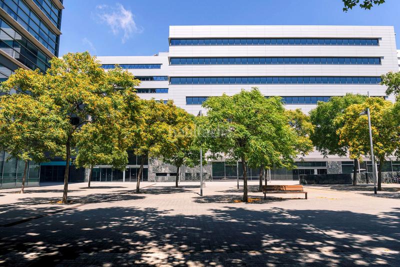 Foto a4358e97-5f8a-4e1c-9c88-2543260340a7. Rent office space with heating in Poblenou Barcelona