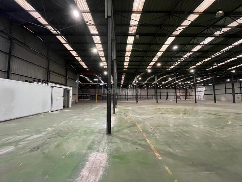 Foto 17828702-3953-4220-b159-5d66008b4e17. Nau industrial amb calefacció a Zona Industrial Barberà del Vallès