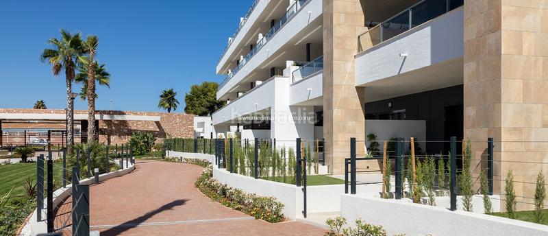 Foto e17bb411-586f-44db-bdd0-b4d6df84b02f. Piano terra in Playa Flamenca Orihuela